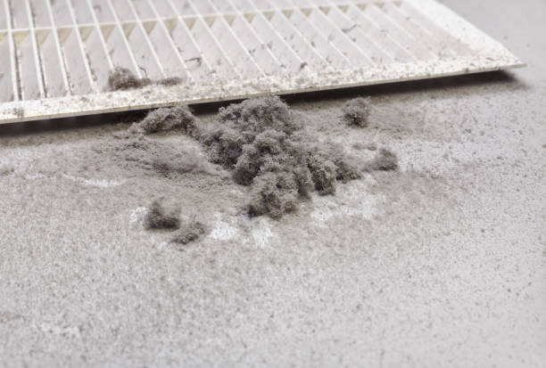 Best Professional Duct Cleaning Services  in Lakeland North, WA