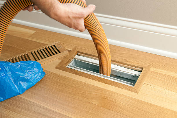 Best Air Duct Mold Removal  in Lakeland North, WA